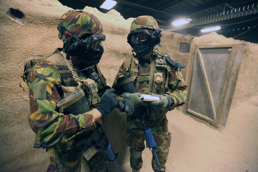 Dawn Blitz 2013 Infantry Immersion Trainer