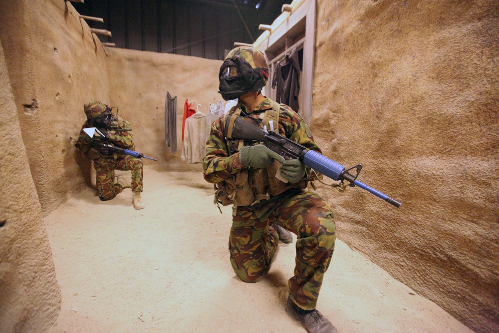 Dawn Blitz 2013 Infantry Immersion Trainer