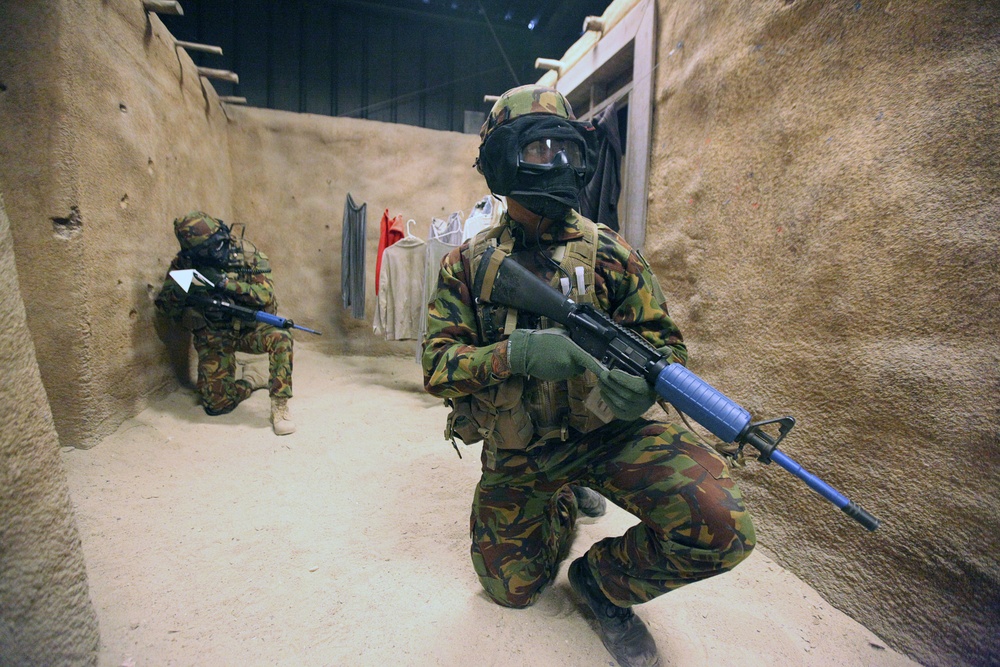 Dawn Blitz 2013 Infantry Immersion Trainer