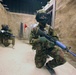 Dawn Blitz 2013 Infantry Immersion Trainer