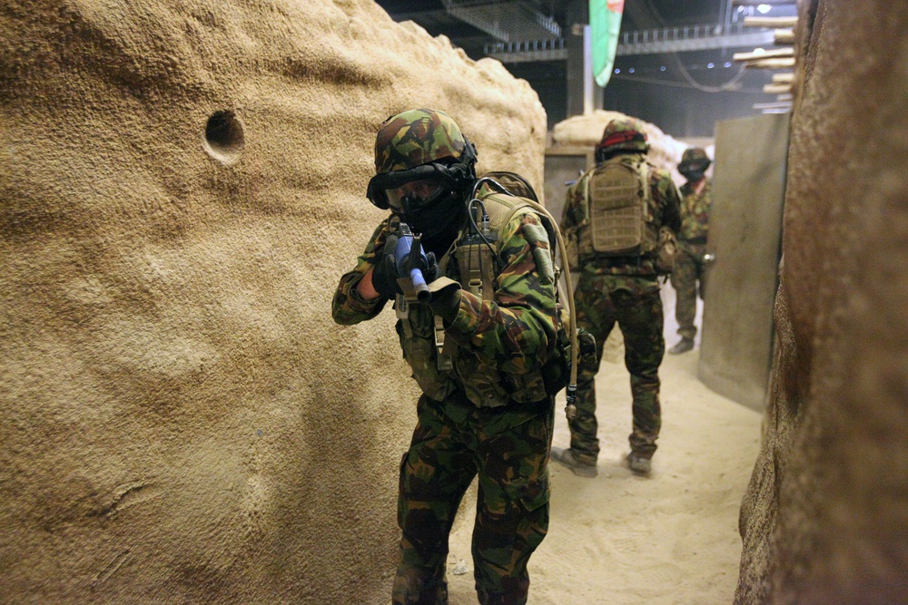 Dawn Blitz 2013 Infantry Immersion Trainer