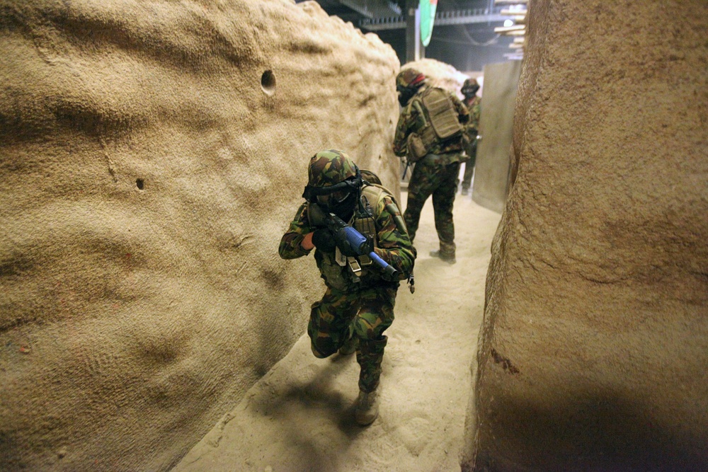 Dawn Blitz 2013 Infantry Immersion Trainer