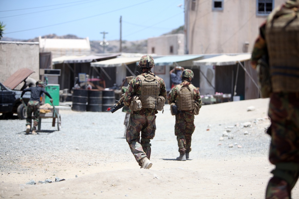 Dawn Blitz 2013 Infantry Immersion Trainer