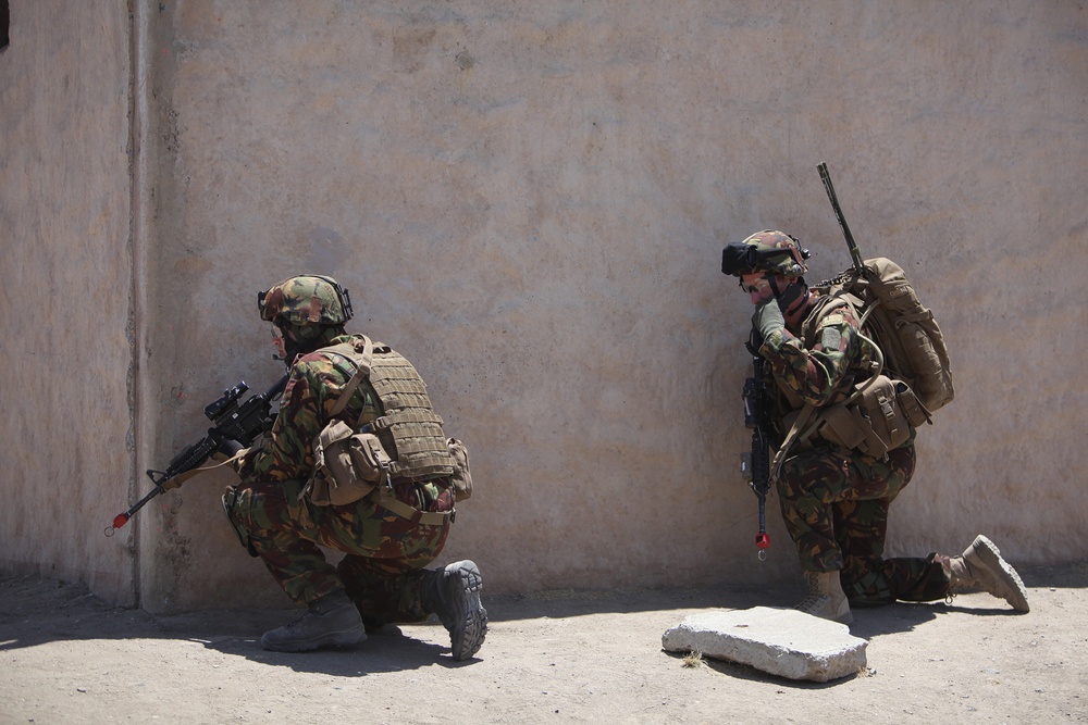 Dawn Blitz 2013 Infantry Immersion Trainer