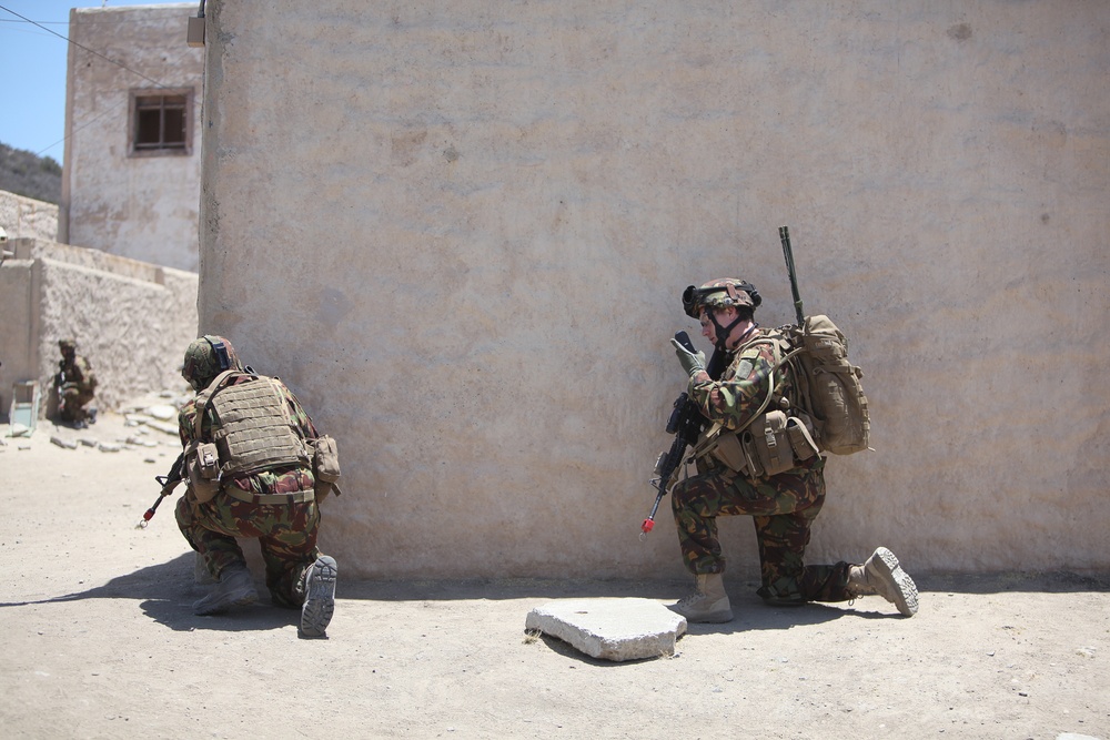 Dawn Blitz 2013 Infantry Immersion Trainer