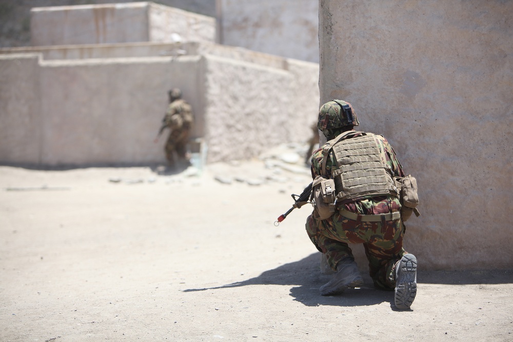 Dawn Blitz 2013 Infantry Immersion Trainer