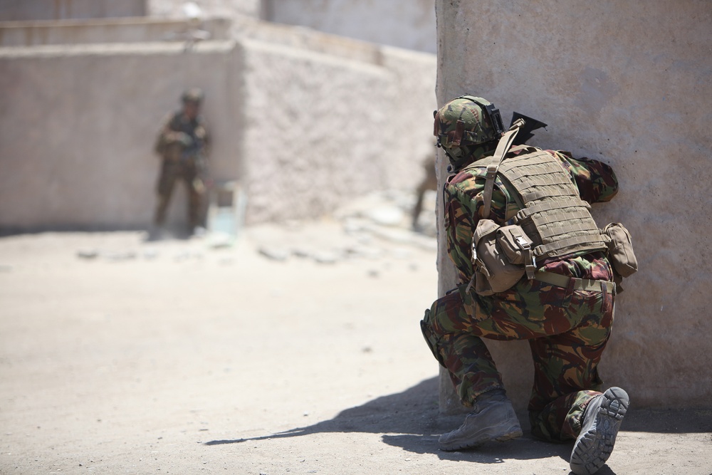 Dawn Blitz 2013 Infantry Immersion Trainer