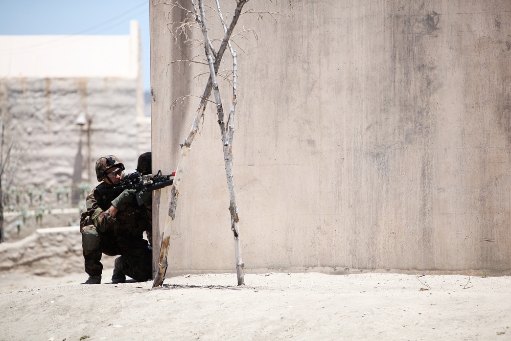 Dawn Blitz 2013 Infantry Immersion Trainer