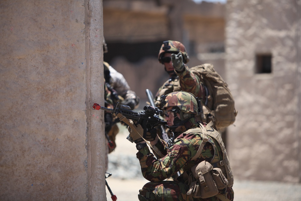 Dawn Blitz 2013 Infantry Immersion Trainer
