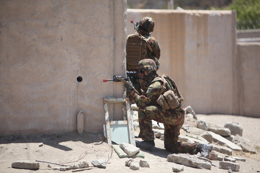 Dawn Blitz 2013 Infantry Immersion Trainer