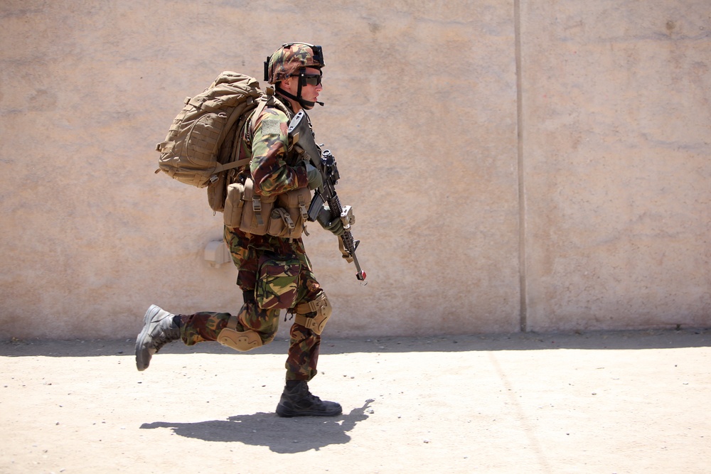 Dawn Blitz 2013 Infantry Immersion Trainer