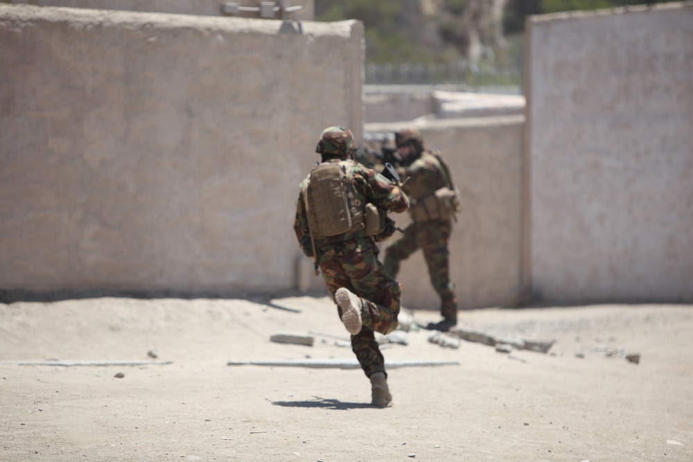 Dawn Blitz 2013 Infantry Immersion Trainer