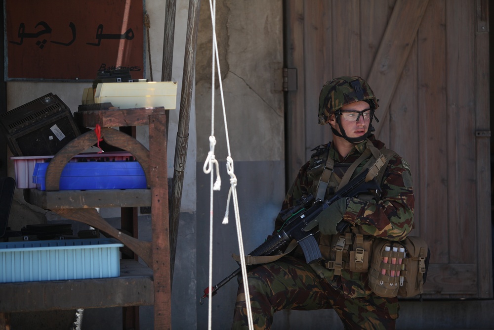 Dawn Blitz 2013 Infantry Immersion Trainer