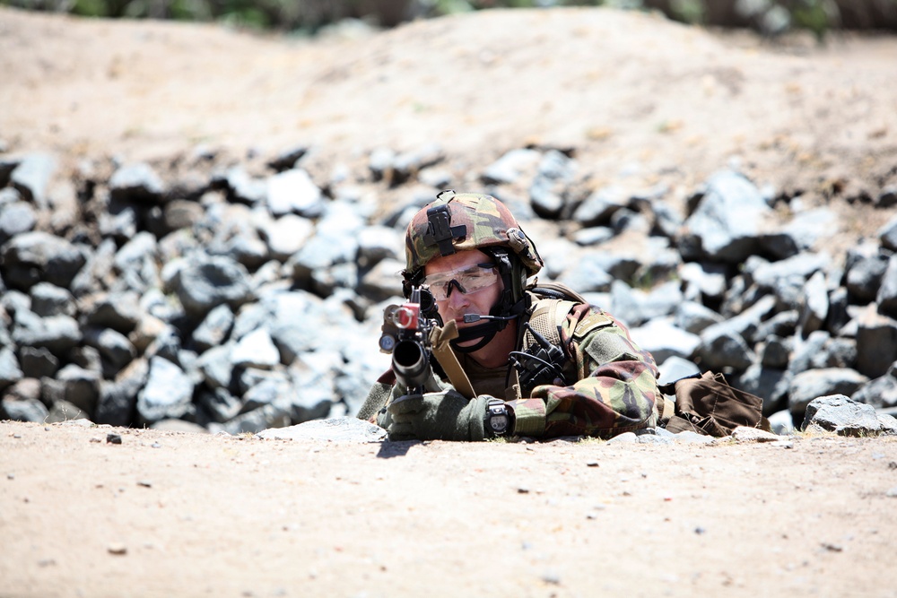 Dawn Blitz 2013 Infantry Immersion Trainer