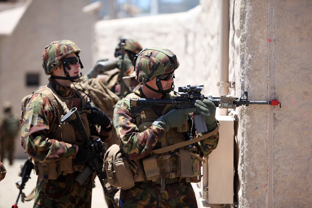 Dawn Blitz 2013 Infantry Immersion Trainer