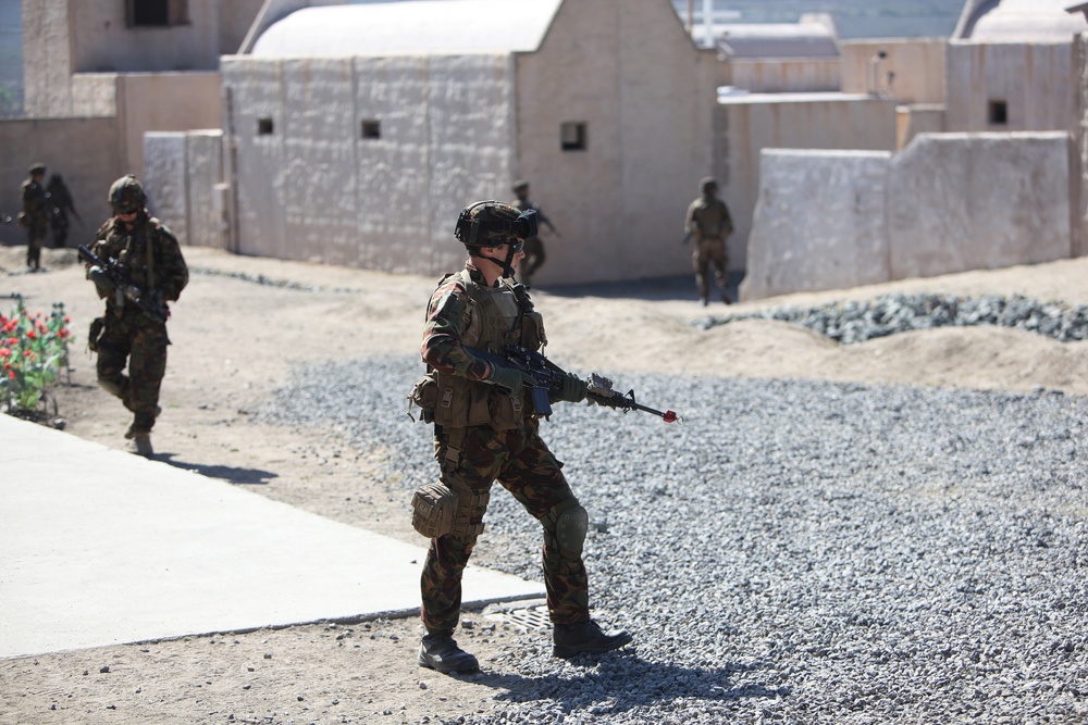 Dawn Blitz 2013 Infantry Immersion Trainer