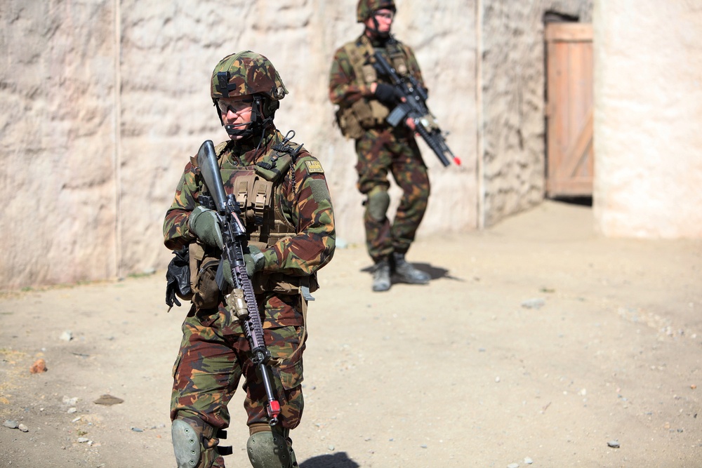 Dawn Blitz 2013 Infantry Immersion Trainer