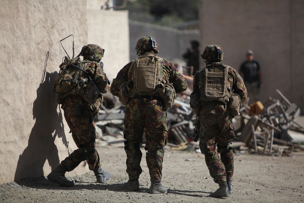 Dawn Blitz 2013 Infantry Immersion Trainer