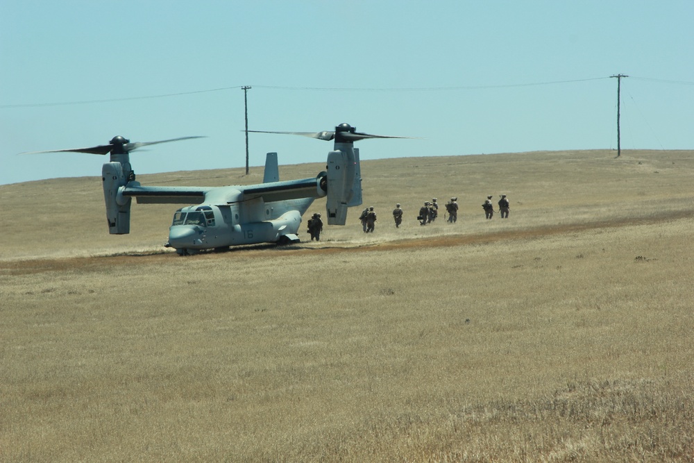 Marines, Japanese Forces Conduct Helicopter Insertion Operations