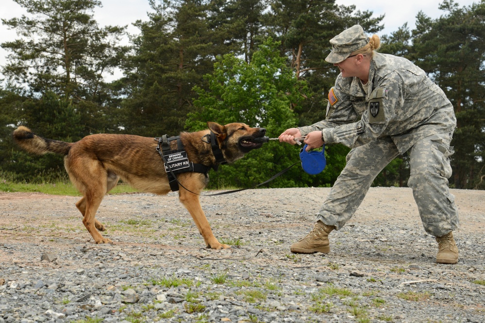 131st Military Working Dog Detachment device detection training