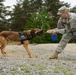 131st Military Working Dog Detachment device detection training