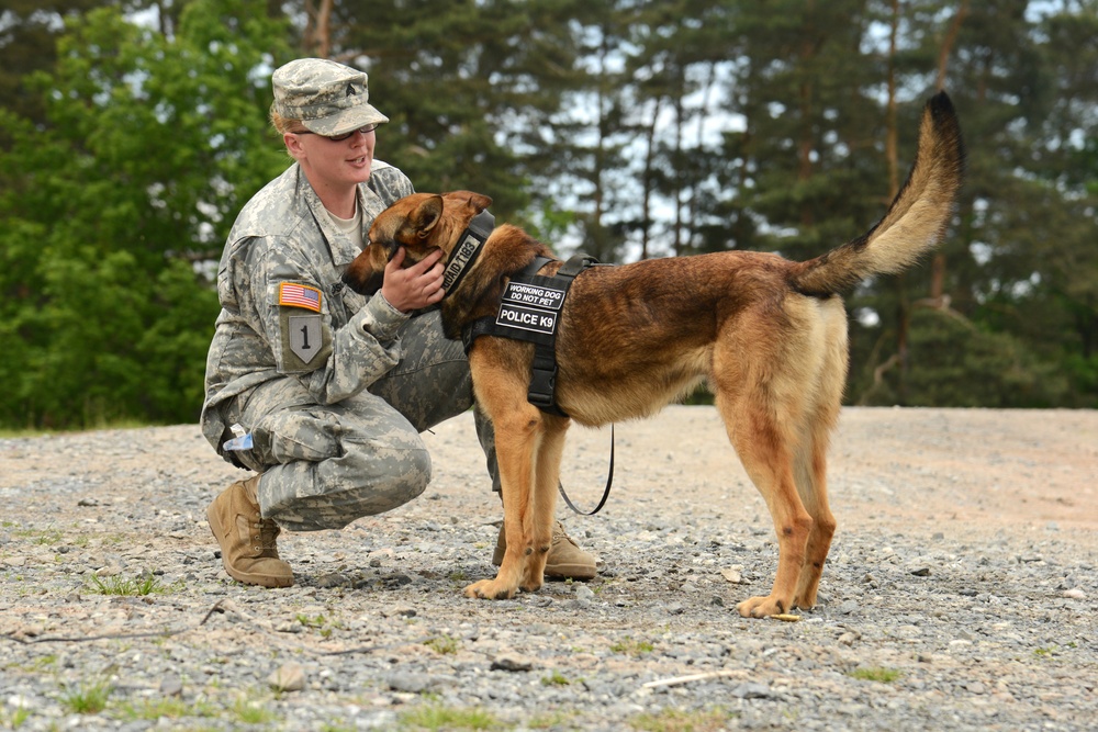 131st Military Working Dog Detachment device detection training