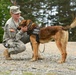 131st Military Working Dog Detachment device detection training