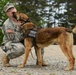 131st Military Working Dog Detachment device detection training