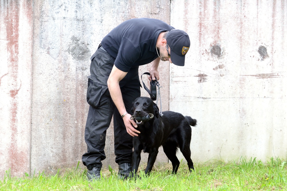 131st Military Working Dog Detachment device detection training