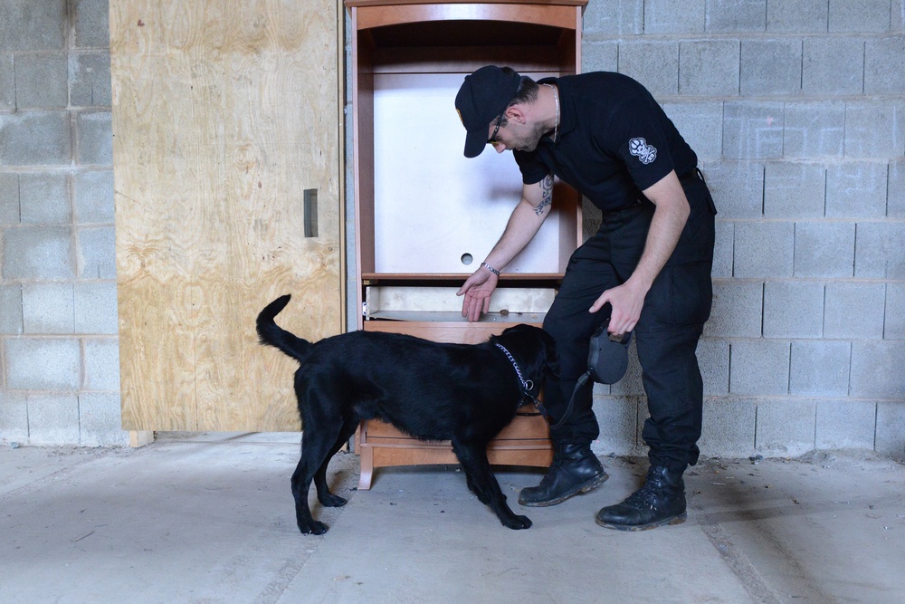 131st Military Working Dog Detachment device detection training