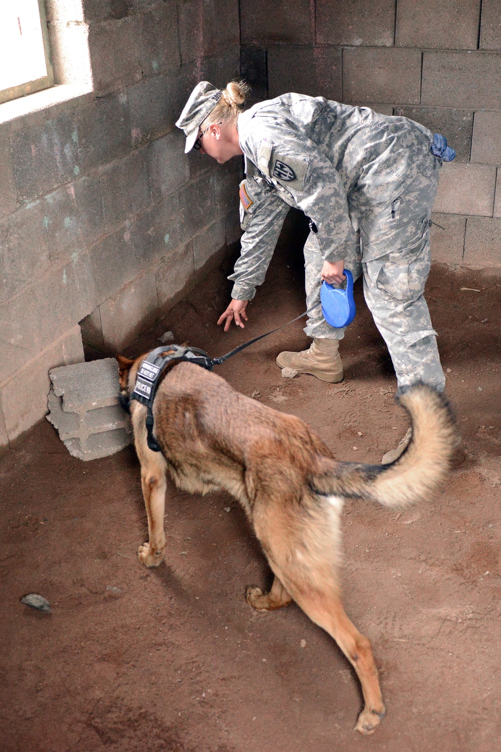 131st Military Working Dog Detachment device detection training