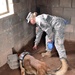 131st Military Working Dog Detachment device detection training