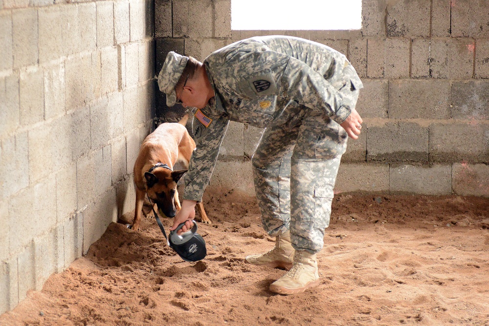 131st Military Working Dog Detachment device detection training