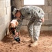 131st Military Working Dog Detachment device detection training