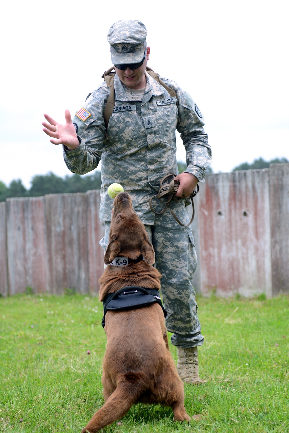 131st Military Working Dog Detachment device detection training