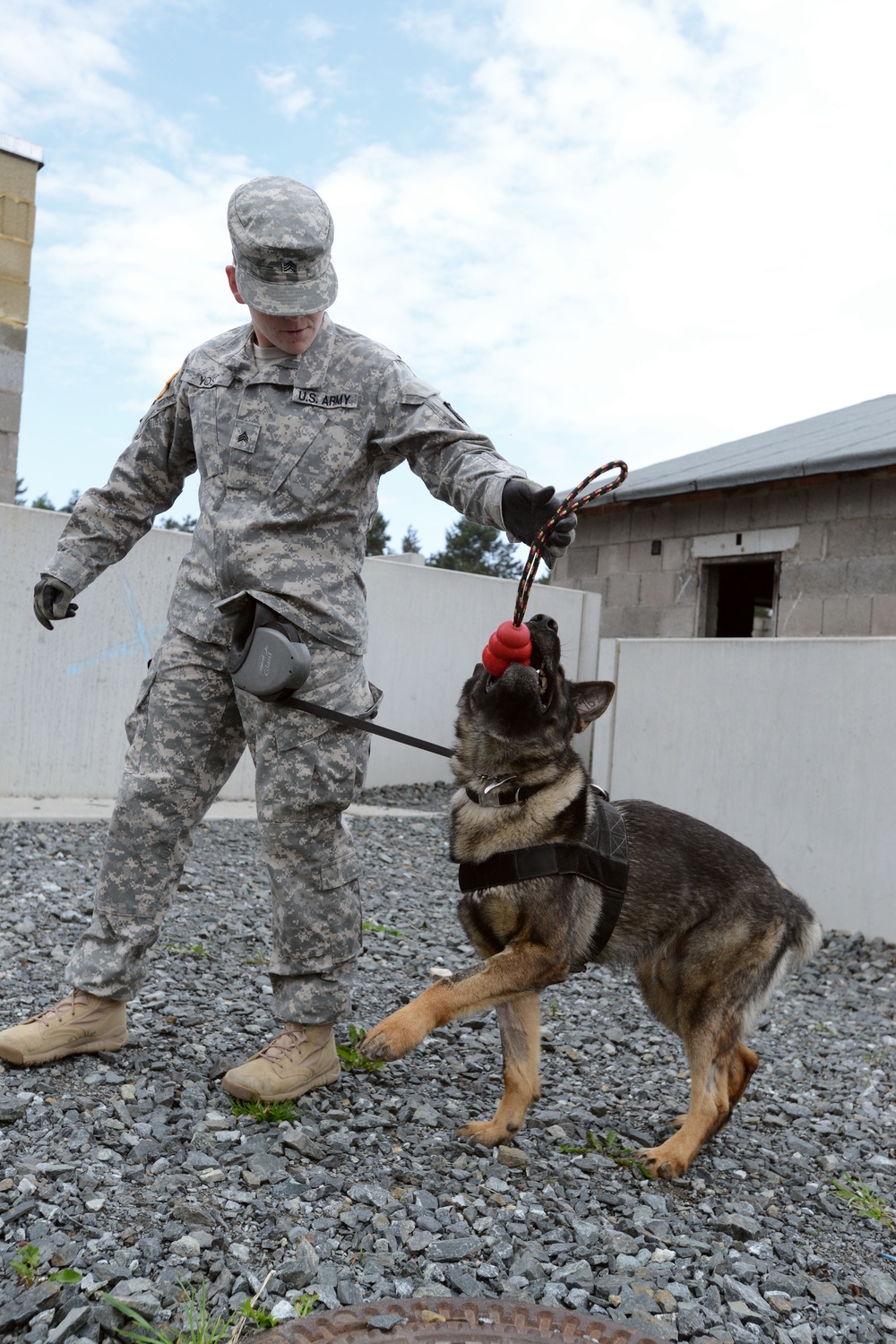 131st Military Working Dog Detachment device detection training