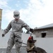 131st Military Working Dog Detachment device detection training