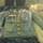 Army Birthday Run