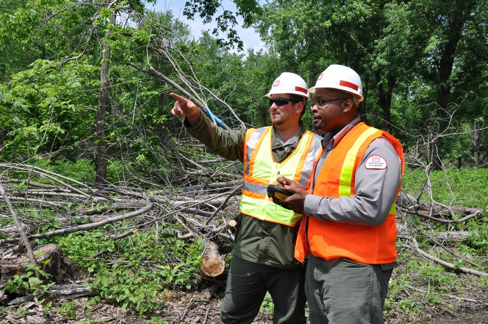 Mississippi island turned into forestry Petri dish