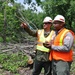 Mississippi island turned into forestry Petri dish