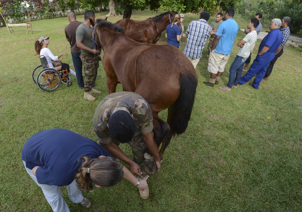 Pacific Partnership 2013