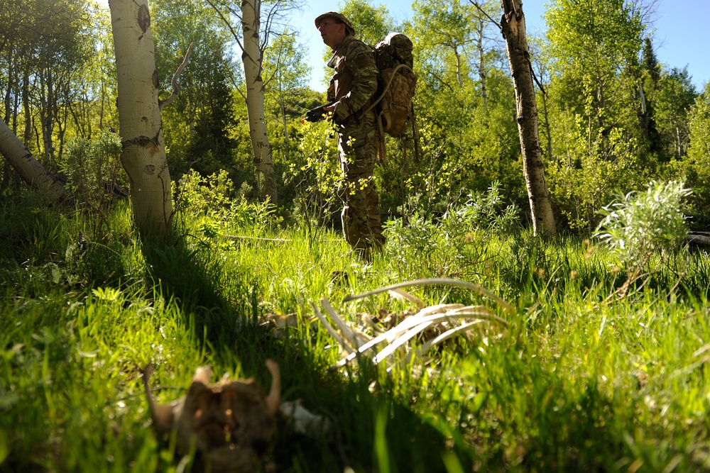 211th Aviation Battalion annual training