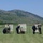 German troops host range for MNBG-E