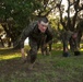 Photo Gallery: Marine Corps recruits test combat fitness on Parris Island