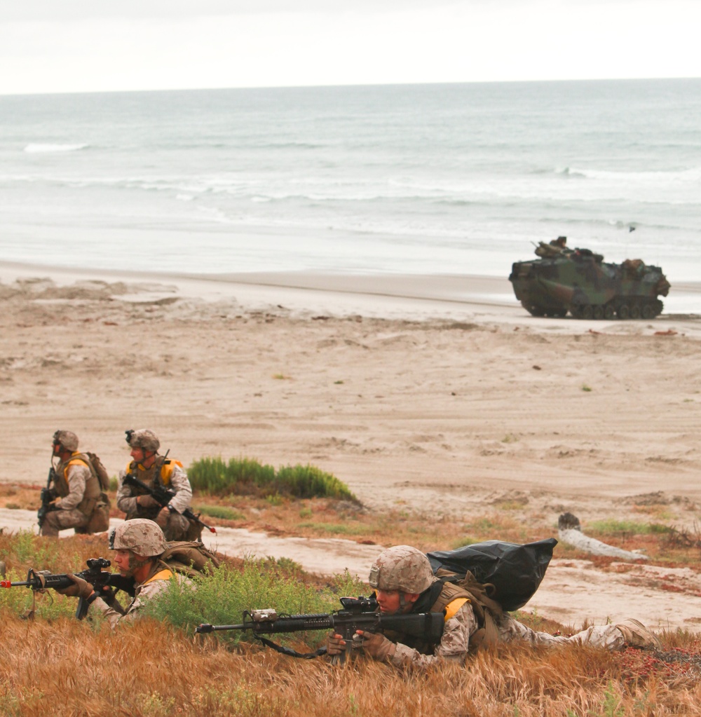 US and Coalition forces conduct amphibious landing on Red Beach