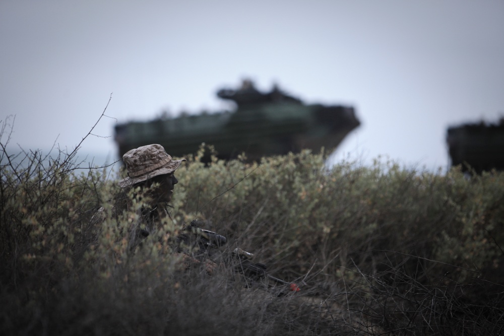 U.S. Marines Conduct Beach Landing