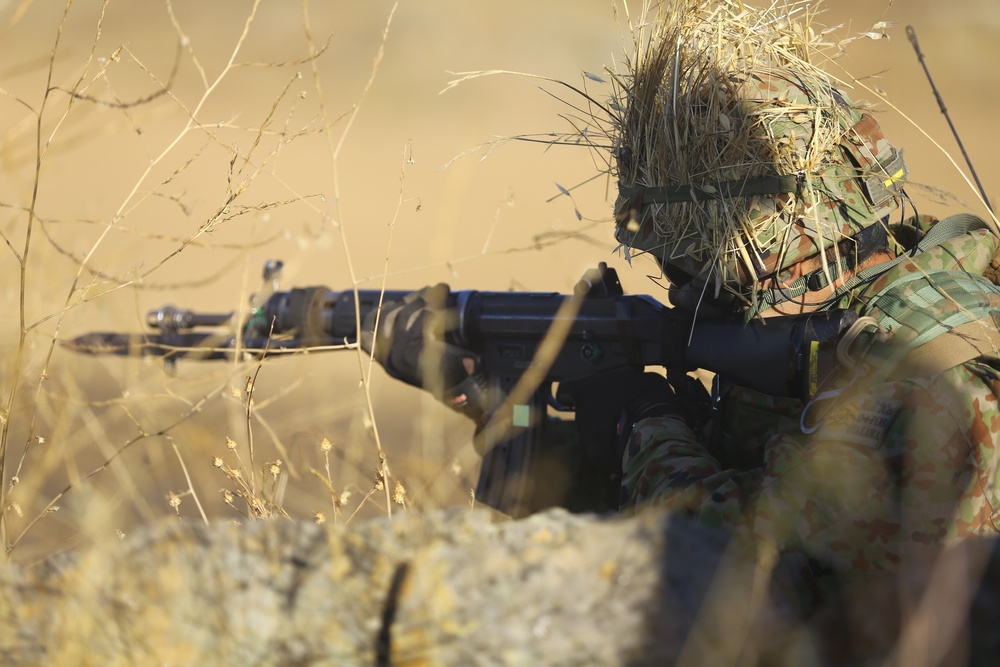 Japanese Forces Participate in a Live-Fire Training