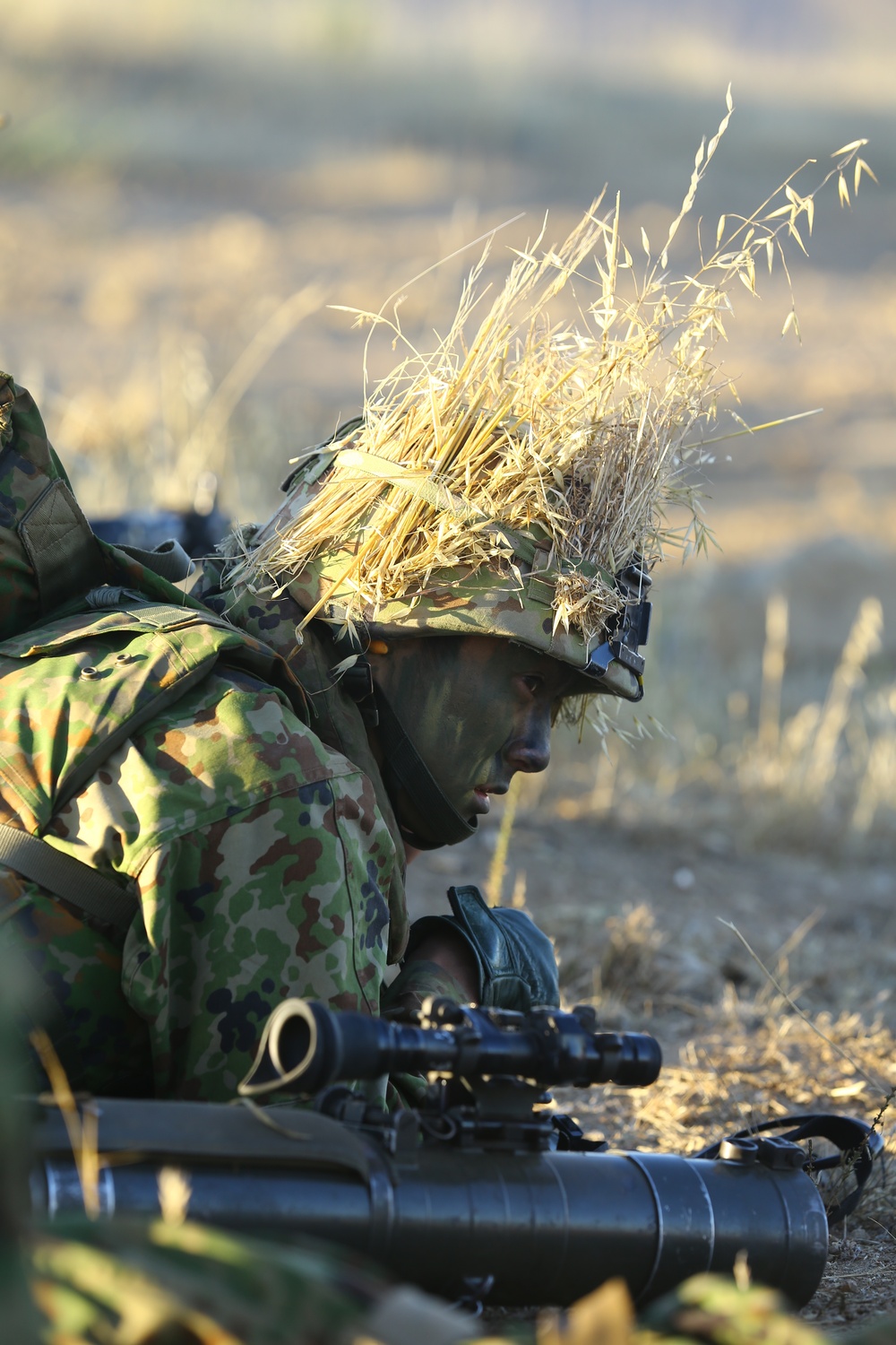 Japanese Forces Participate in a Live-Fire Training