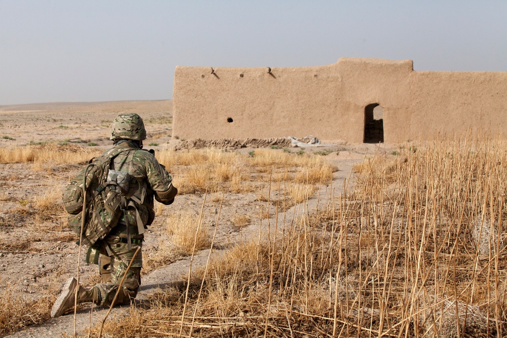 U.S. Marines and Georgian Army Soldiers Conduct Operation Northern Lion