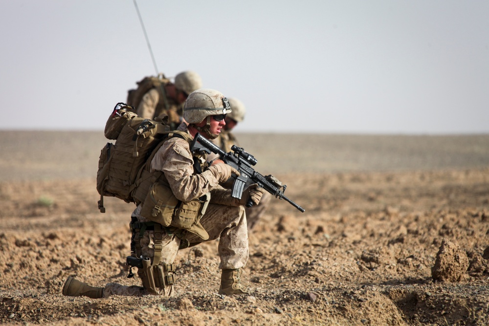 DVIDS - Images - U.S. Marines and Georgian Army Soldiers Conduct ...